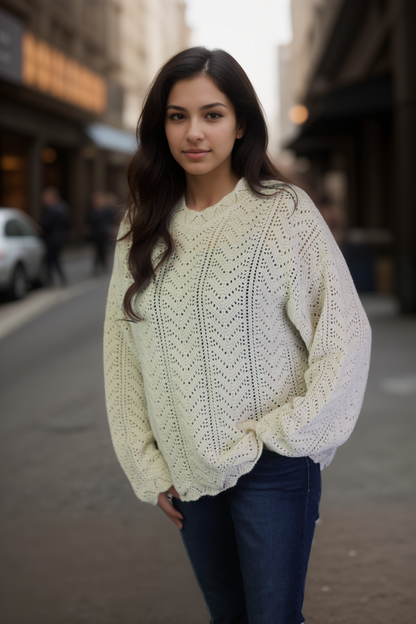 Scallop Stitch Crew Neck Sweater (D9343)